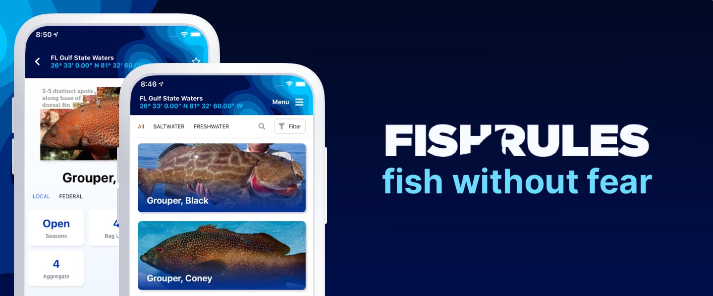 Florida Reef Fish Gear Rules - Keep FWC Happy